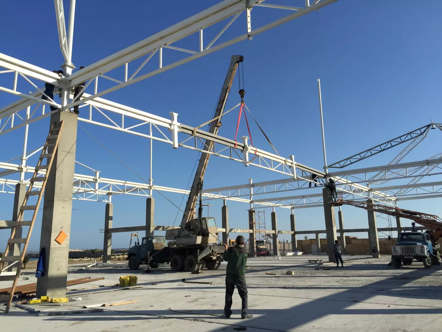 ���ϣ���ᘌ�(du��)���^Ĥ�Y(ji��)��(g��u)䓲Ĳ�ͬ��׃����r���в�ͬ�ķ��l(w��i)����